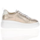Wonders - Platform Trainers Platinum - 2632 4