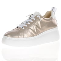 Wonders - 2632 Platform Trainers - Platinum 2